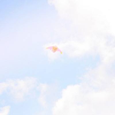 万界天尊变态版下载